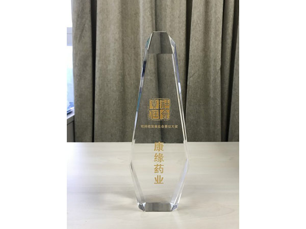 可持續(xù)發(fā)展社會責(zé)任大獎